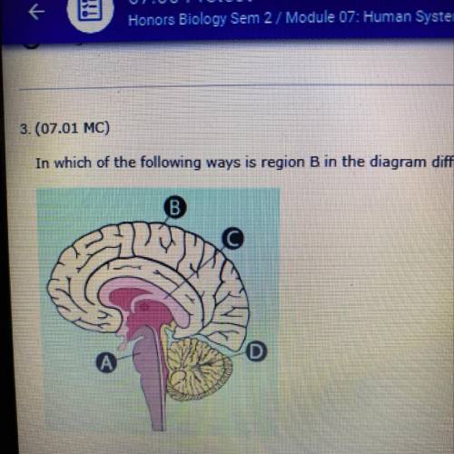 In which of the following ways is region b in the diagram different from region D