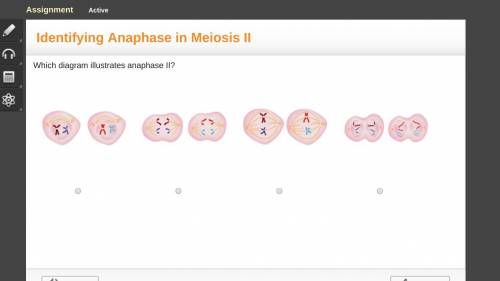 Which diagram illustrates anaphase II? HURRY IM TIMED ,ILL GIVE BRAINLIEST!
