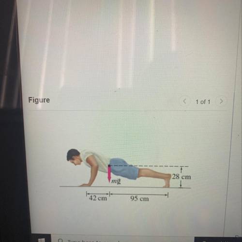 A man doing push-ups pauses in the position shown. His mass m= 71 kg.

Part A: Determine the norma