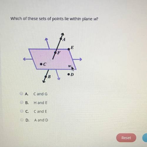Which of these sets of points lie within plane w?

A.
Cand G
B.
Hand E
C.
C and E
D
A and D