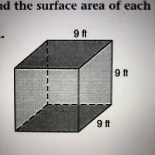 Please help me find surface area of each prism??