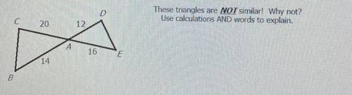 HELP ASAP DUE TODAY

These triangles are NOT similar! Why not?
Use calculations AND words to expla