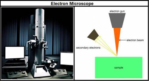 In an electron microscope, the sample is bombarded with a stream of electrons that are expelled fro