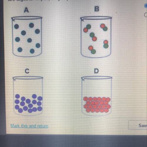 The dots in these cylinders represent the shape and

density of the particles in the different sta