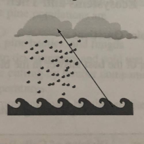 True or false is this diagram an example of a short water cycle over the ocean? and how so?