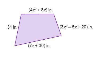 Find the perimiter of this shape