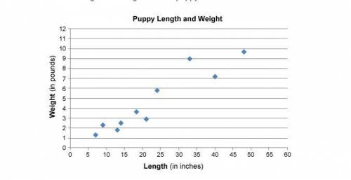 3. Maria is a veterinarian. She wants to know how the weight of a puppy is related to its length. T