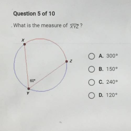 What is the measure of XYZ￼