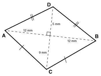 Find the area of the kite below. POSSIBLE ANSWERS: 168 mm 2 or 216 mm 2 or 195 mm 2 or 228 mm 2