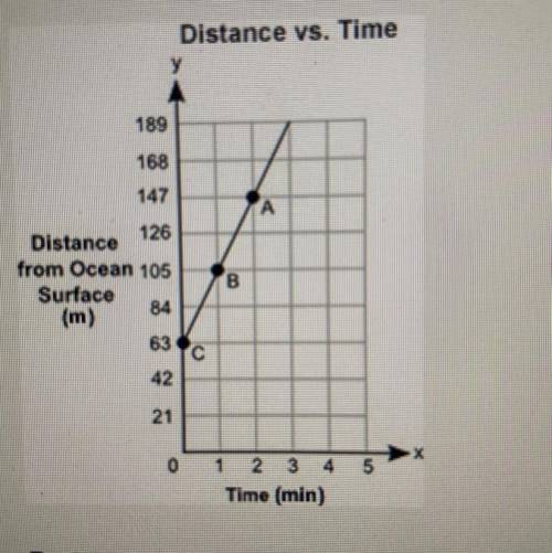 HELPP I NEED THIS ASAP!! 10 points

The graph shows a Y in meters of shark from the surface of ano