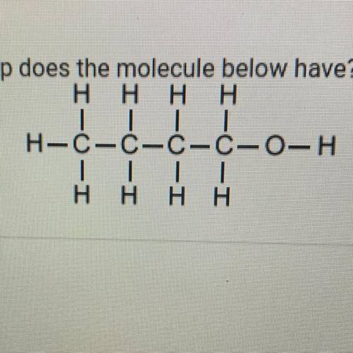 Which functional group does the molecule below have?

A. Ether
B. Ester
C. Hydroxyl
D. Amino