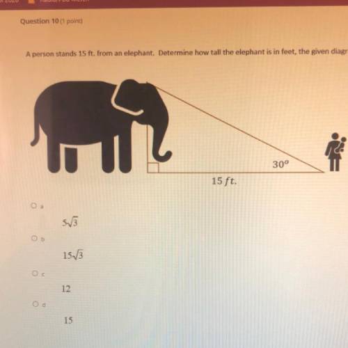 a person stands 15 ft from an elephant. determine how tall the elephant is in feet, the given diagr