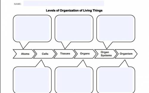 Levels of Organization of Living Things
