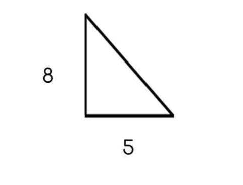 FIRST GETS BRAINLLEST If the triangle below is enlarged by a scale factor of 1.8, what will be the