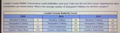 Louden County Wildlife Conservancy counts butterflies each year. Data over the last three years reg