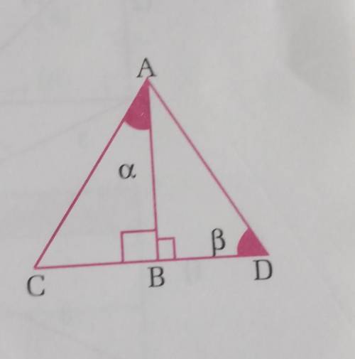Section B

1. In the adjoining figure find out perpendicular, base andhypotenuse from the given ri