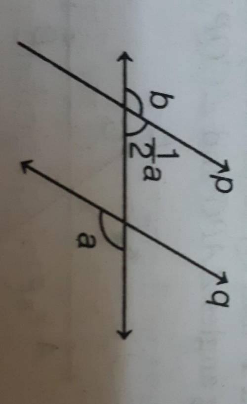 In the given figure if p||q what is the value of b?