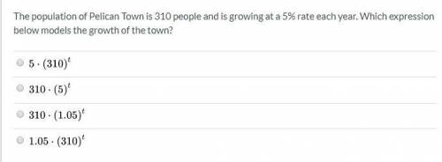 The population of Pelican Town is 310 people and is growing at a 5% rate each year. Which expressio