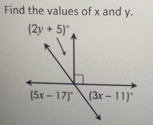 Find the values of x and y please and thank you