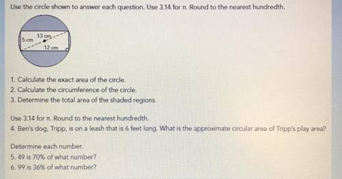 I need help with the questions could someone answer them all?