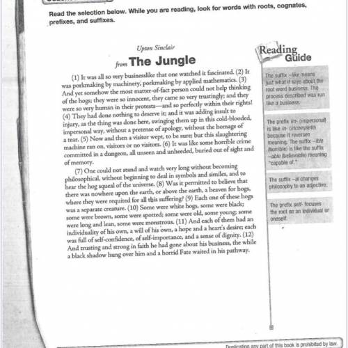 08/20-21/20- The Jungle

1. Does the use of third person lend credibility to the narrator?
2. If t