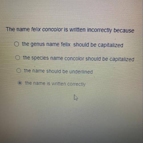 The name felix concolor is written incorrectly because

o the genus name felix should be capitaliz