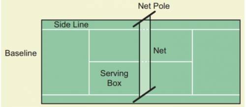 PLEASE HELP, WILL GIVE MAX POINTS IF CORRECT. Look at the diagram of the tennis court below. The di