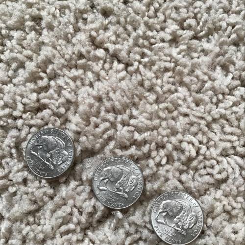 I found 3 2005 buffalo nickels! What do i do with them?!