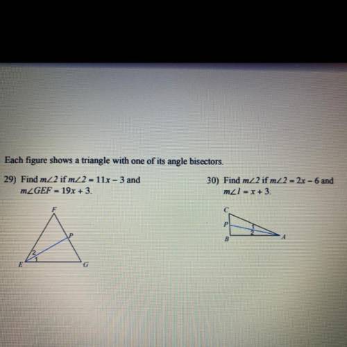 Please help i cannot figure out how to do this i need help asap