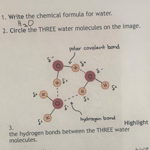 Circle the 3 water molecules on the image