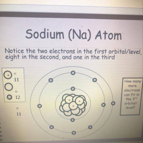 What subatomic particle identified this atom