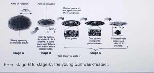 5. From stage B to stage C, the young Sun was created..

A. when gravity caused the center of the