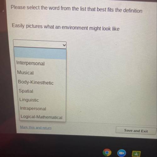 Please select the word from the list that best fits the definition

Easily pictures what an enviro