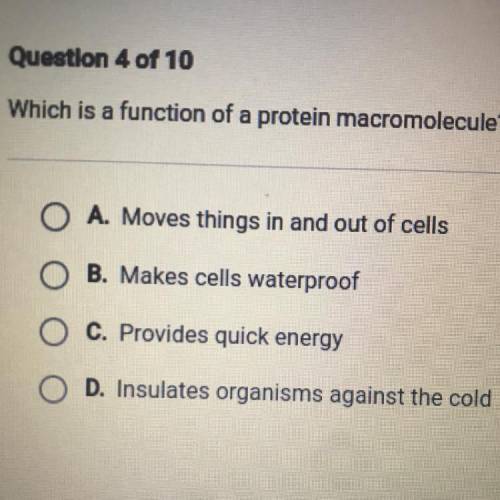 Which is a function of a protein macromolecule?