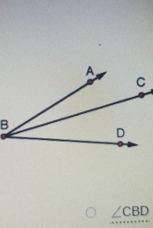 Which of the named angles is not an angle found in the picture?