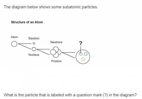 A: beta particle B: quark C: isotype D: alpha particle