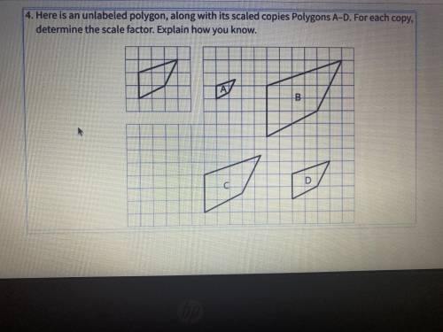 Please help!! I’m confused!