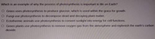 What is an example of why the process of photosynthesis is important to life on Earth

PLEASE ANSW