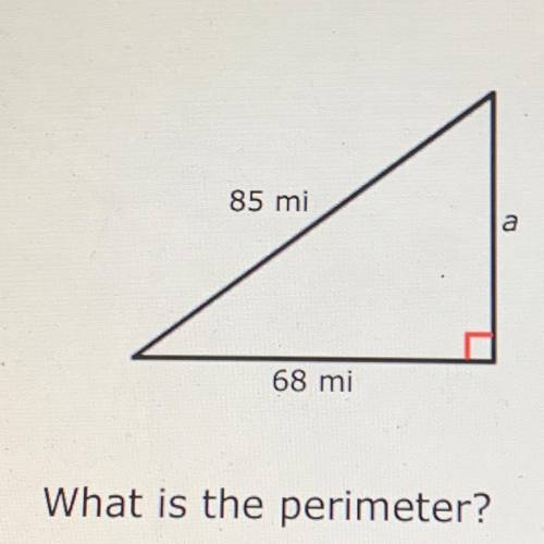Anyone know the answer, because I need help.