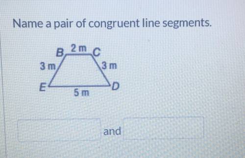 Name a pair of congruent line segments