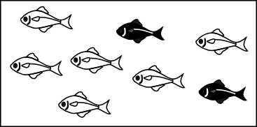 A fish tank has black and white fish in the ratio of 2 to 6 as shown below: Which is another ratio
