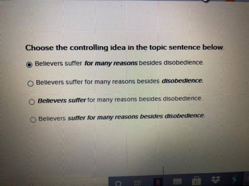 Choose the controlling idea in the topic sentence below.

Believers suffer for many reasons beside