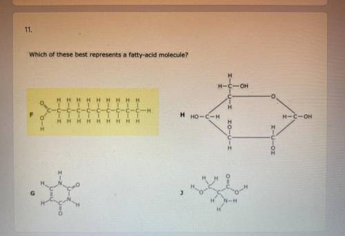 11.

Which of these best represents a fatty-acid molecule?
H
H-C-OH
U-I
H
Η Η Η Η Η Η Η Η Η
IIIIII