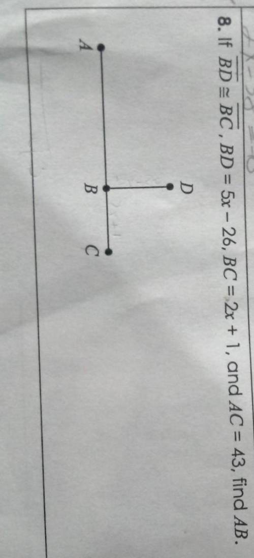 Geometry Basics Unit 1 - Please Help