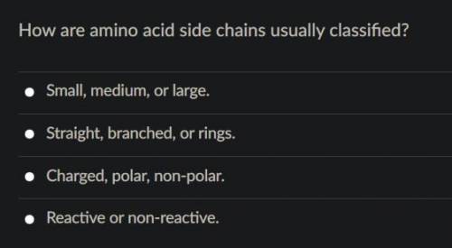 How are amino side chains usually classified? a. Small, Medium, or Large b. Straight, branches, or