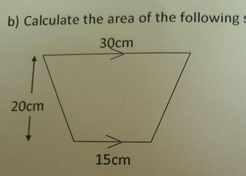 Could I have some help for the area of this shape?