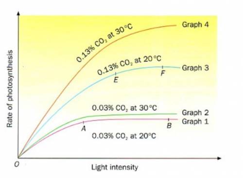 Interpret and explain this graph on photosynthesis