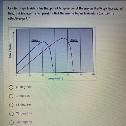 Use the graph to determine the optimal temperature of the enzyme GlenKeppie, which is also the temp