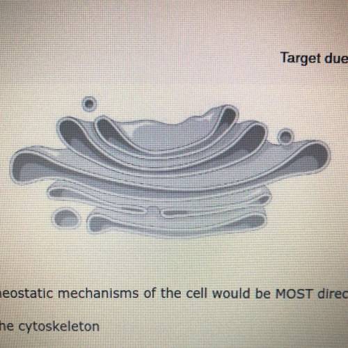 The diagram below shows a particular organelle found in eukaryotic cells. If the organelle shown wa