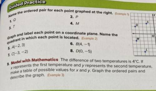 Can someone please help me with these questions?